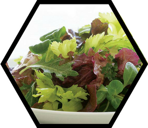 Simple Chlorella Salad Dressing