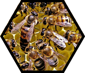 A Mother's Day Tribute to Queen Bees