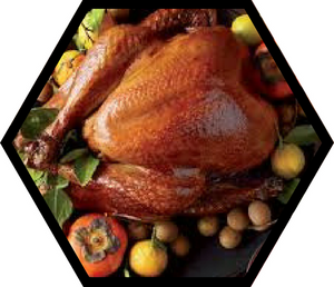 Honey-Glazed Turkey