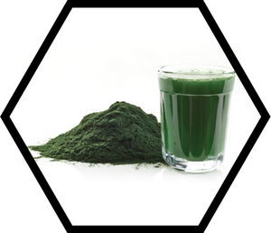 5 Ways How Spirulina Can Supercharge Your Health