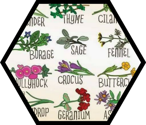 Flowers to help for bees