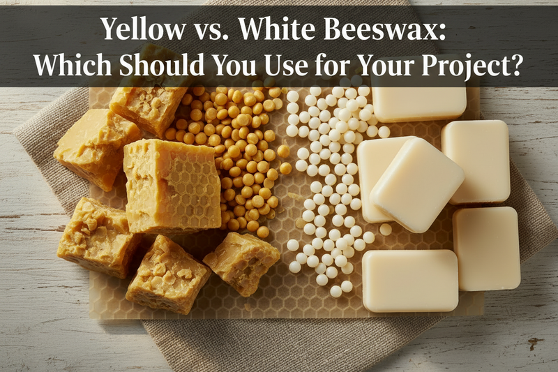 Yellow vs. White Beeswax: Which Should You Use for Your Project?